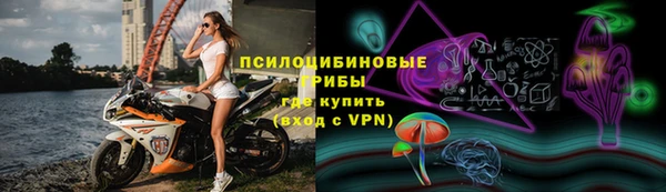 шишки Баксан