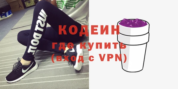 шишки Балахна