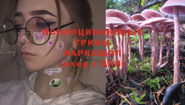 шишки Балахна