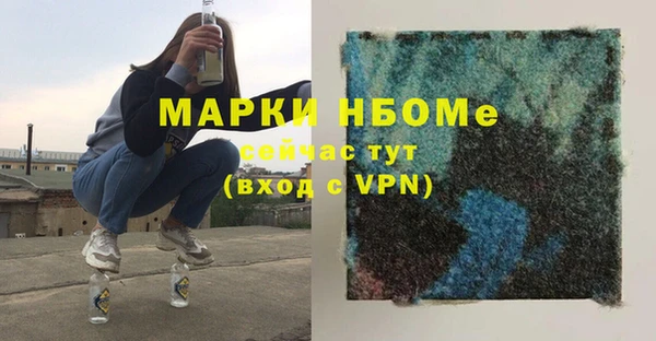 шишки Баксан
