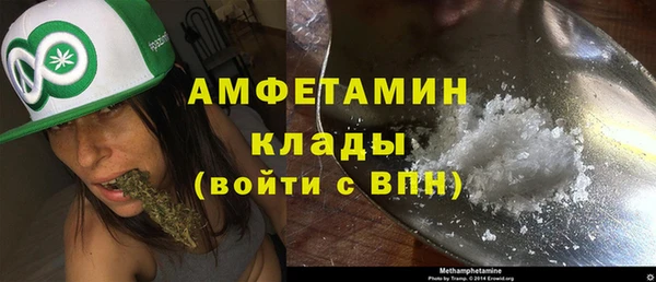 шишки Баксан