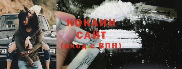шишки Балахна