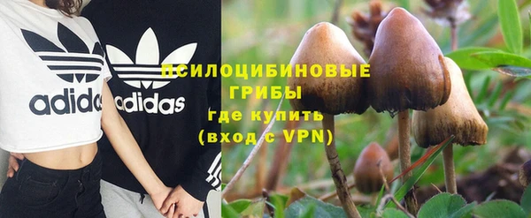 шишки Балахна